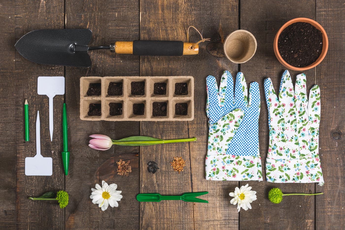 Garden & Tools