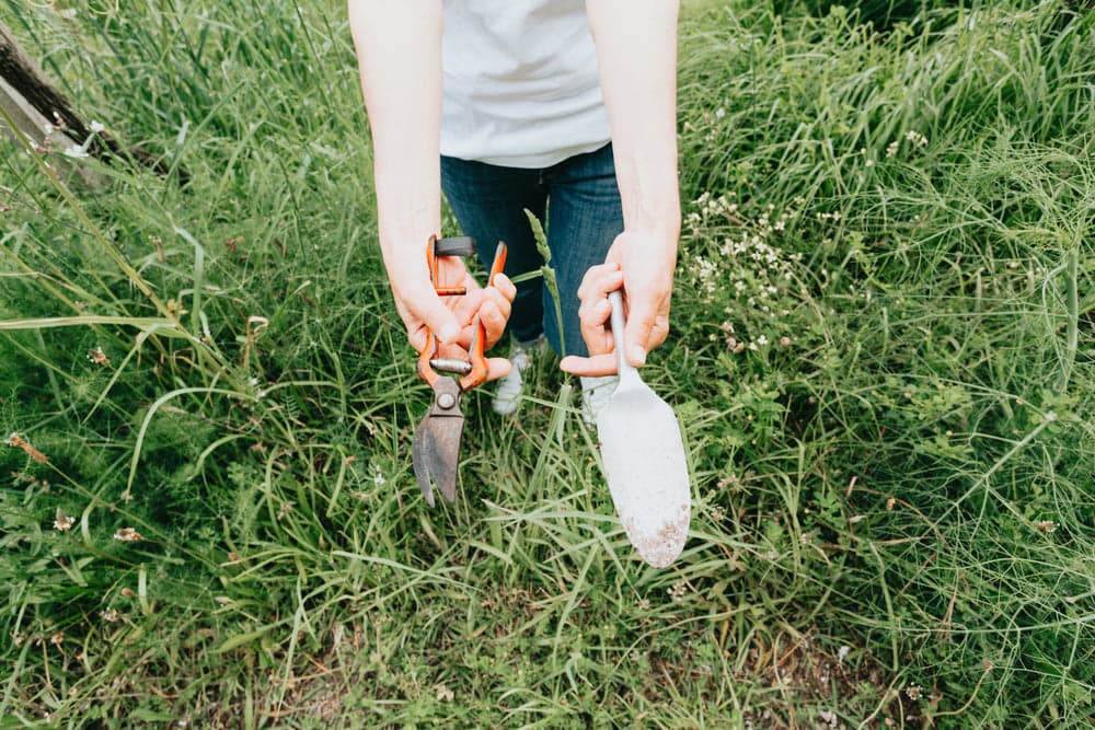 Hand tools & pruning accessories