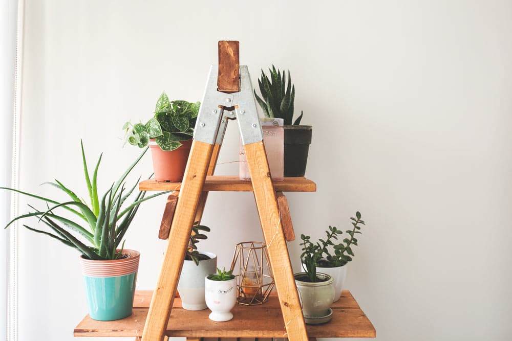 Planters & growing containers
