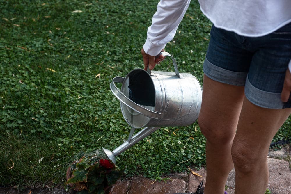 Watering & irrigation accessories