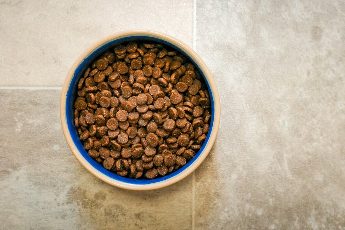Feeding bowls & storage