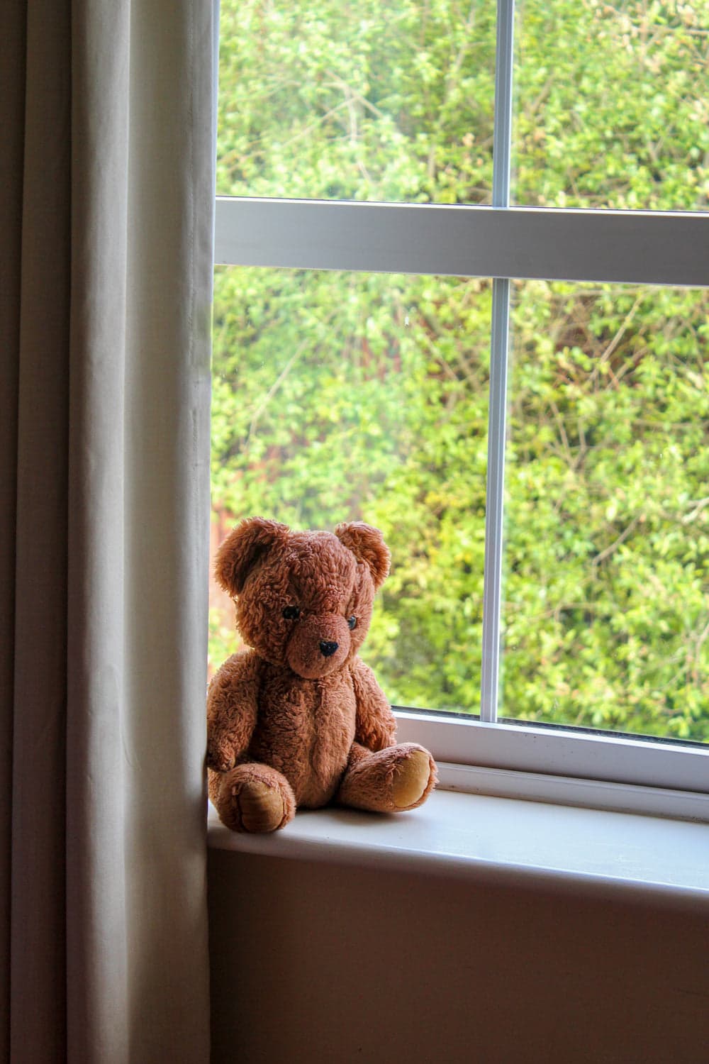 Plush toys & fabric play sets